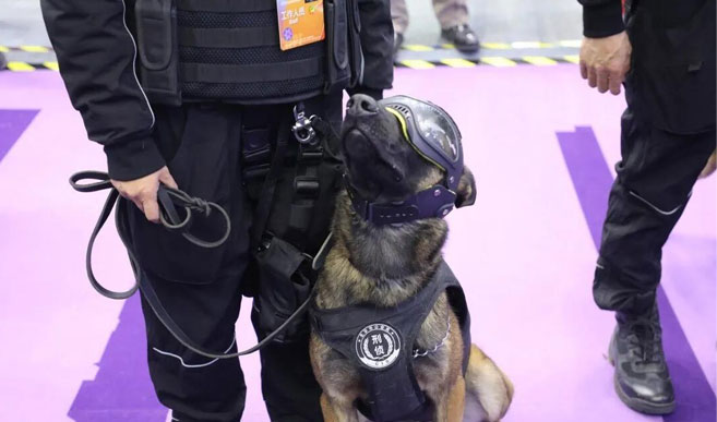 استنساخ الكلاب البوليسية هي موضع اهتمام كبير في معرض اكسبو العالمي